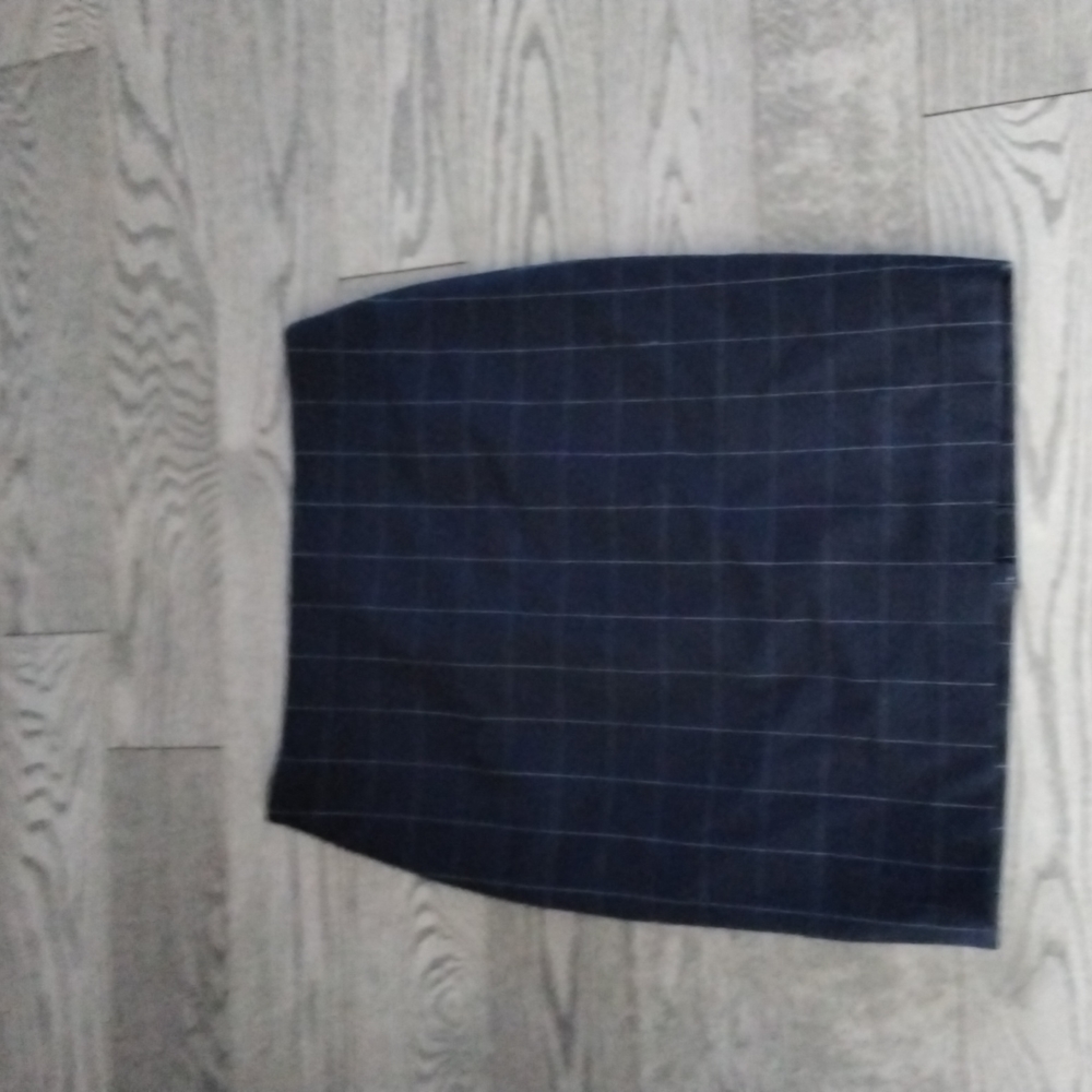 Beautfiul skirt by Ann Taylor